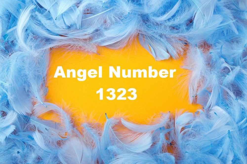 1323 Angel Number